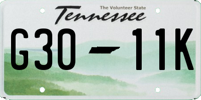 TN license plate G3011K