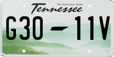 TN license plate G3011V