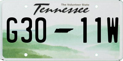 TN license plate G3011W