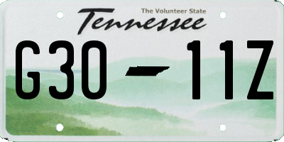 TN license plate G3011Z