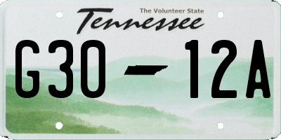 TN license plate G3012A