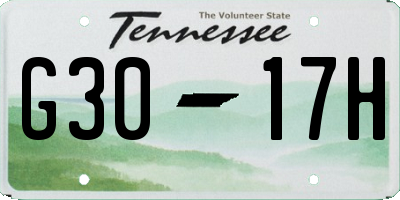 TN license plate G3017H