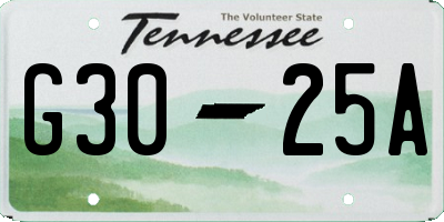 TN license plate G3025A