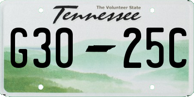TN license plate G3025C