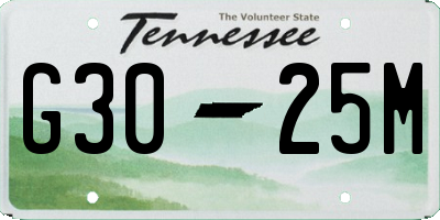 TN license plate G3025M