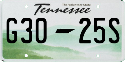 TN license plate G3025S