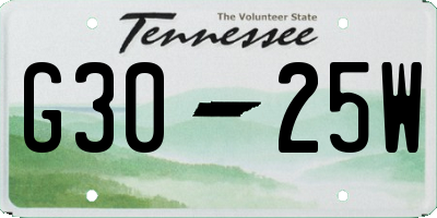 TN license plate G3025W