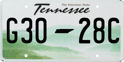 TN license plate G3028C
