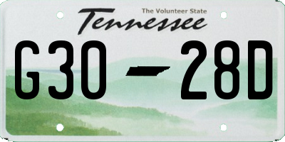 TN license plate G3028D