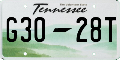 TN license plate G3028T