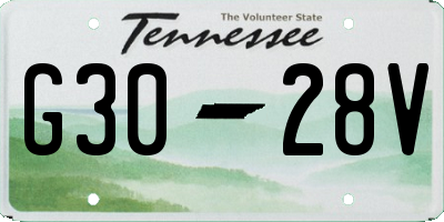 TN license plate G3028V