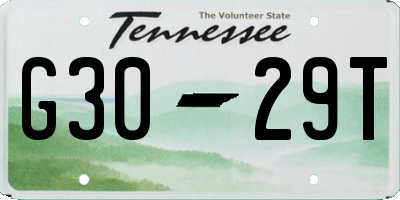 TN license plate G3029T