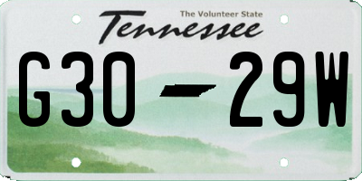 TN license plate G3029W