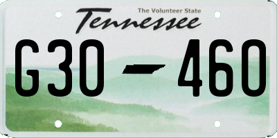 TN license plate G3046O