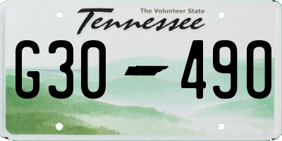 TN license plate G3049O