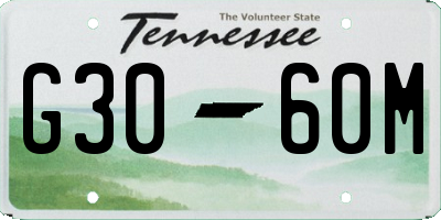 TN license plate G3060M