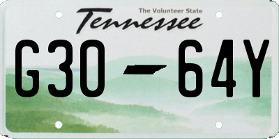 TN license plate G3064Y