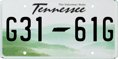 TN license plate G3161G