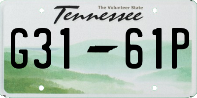 TN license plate G3161P