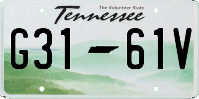 TN license plate G3161V