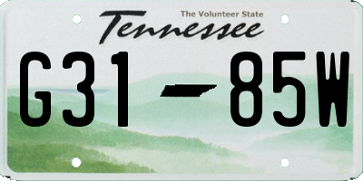 TN license plate G3185W