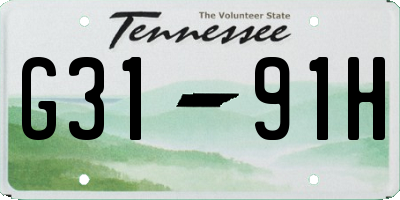 TN license plate G3191H