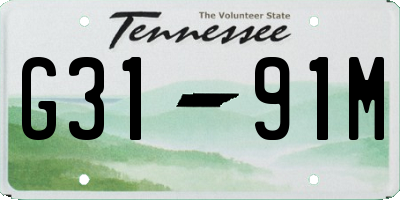 TN license plate G3191M