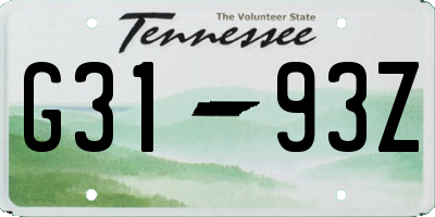 TN license plate G3193Z