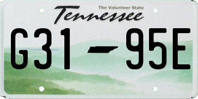 TN license plate G3195E