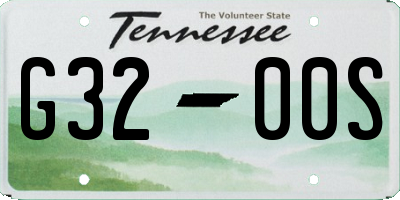 TN license plate G3200S