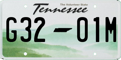 TN license plate G3201M