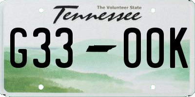 TN license plate G3300K