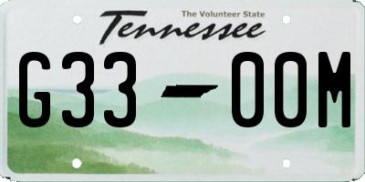 TN license plate G3300M