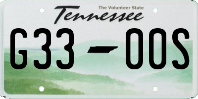 TN license plate G3300S