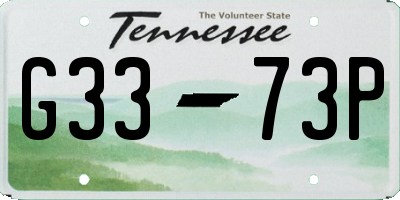 TN license plate G3373P