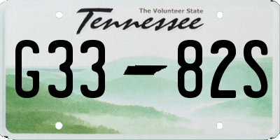 TN license plate G3382S