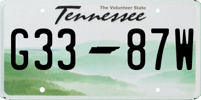 TN license plate G3387W