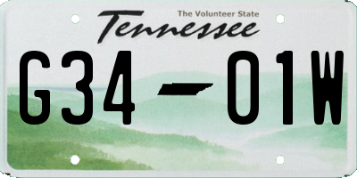TN license plate G3401W