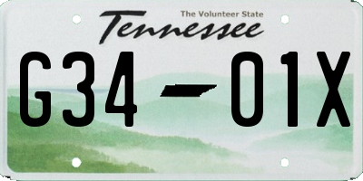 TN license plate G3401X