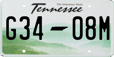 TN license plate G3408M