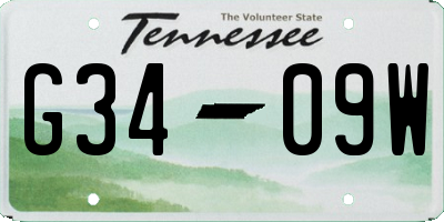 TN license plate G3409W