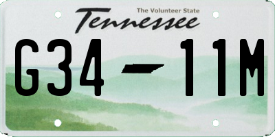 TN license plate G3411M
