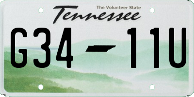 TN license plate G3411U