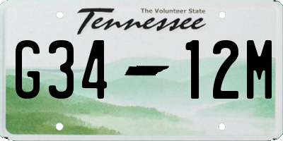 TN license plate G3412M