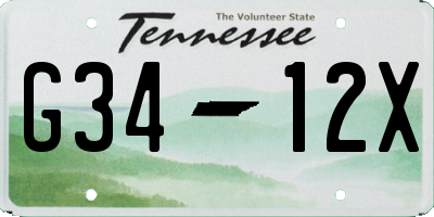 TN license plate G3412X