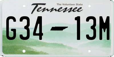 TN license plate G3413M