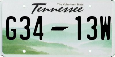 TN license plate G3413W