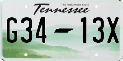 TN license plate G3413X