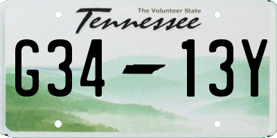 TN license plate G3413Y