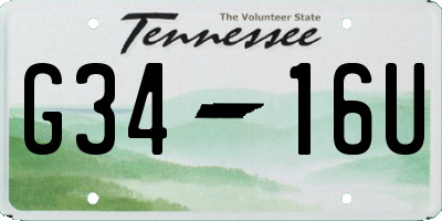 TN license plate G3416U